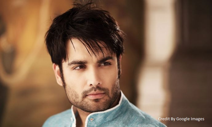 Vivian Dsena
