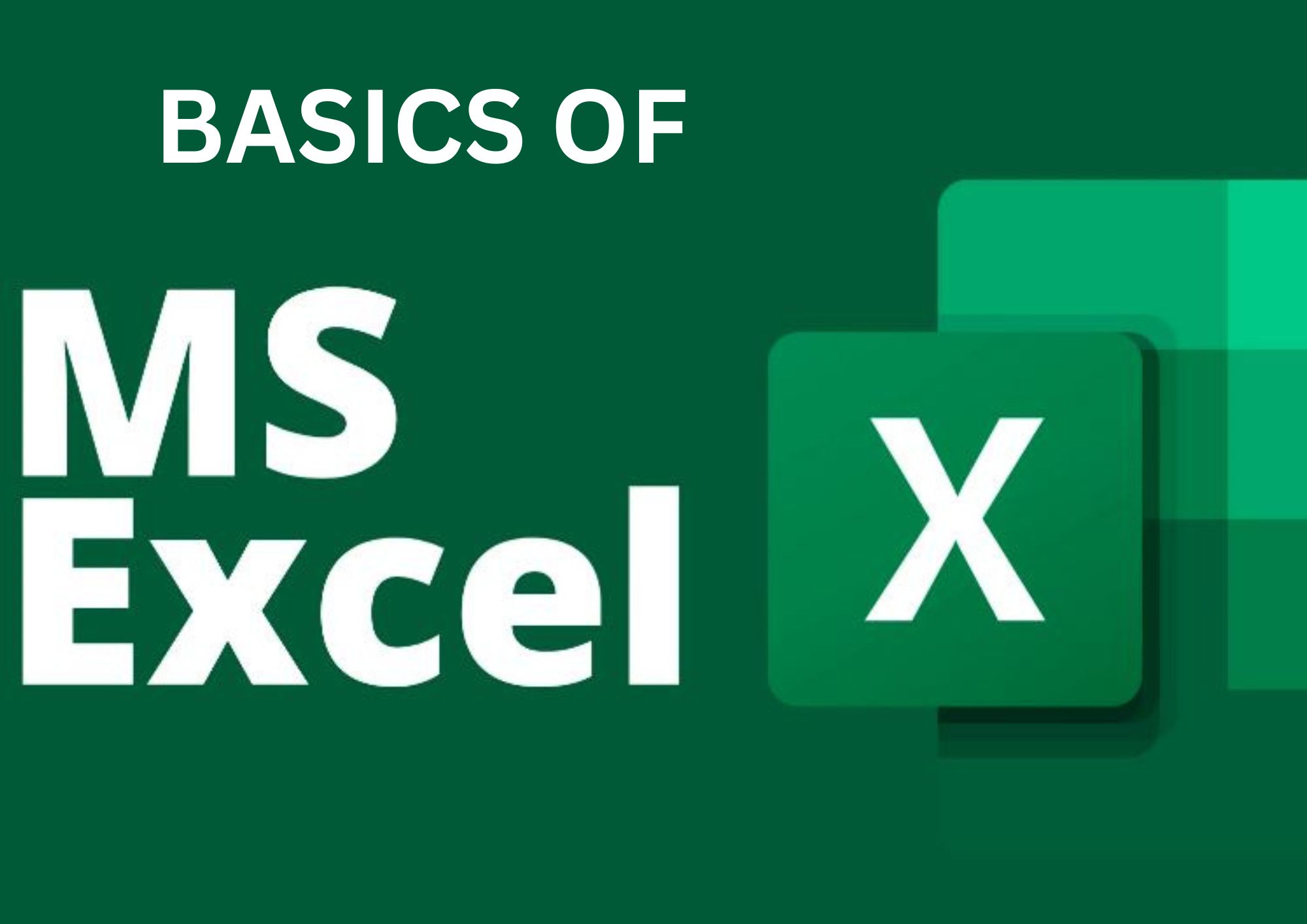 MS Excel