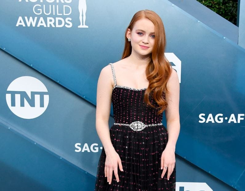 Sadie Sink net worth, income, income sources 2025