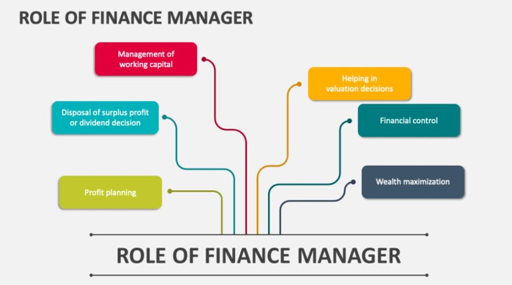 Finance Manager